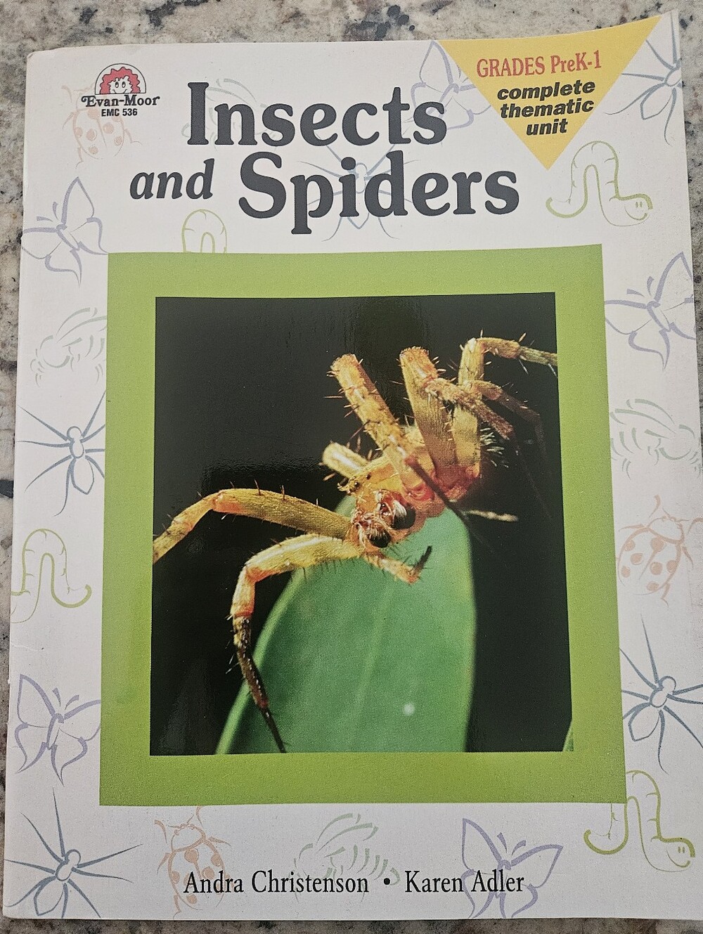 Insects and Spiders Workbook Thematic Unit Preschool, Kindergarten Teaching